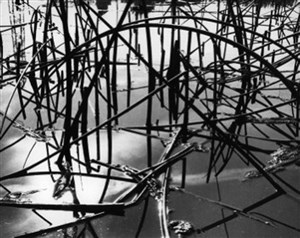 Image description is not available for 2011.042